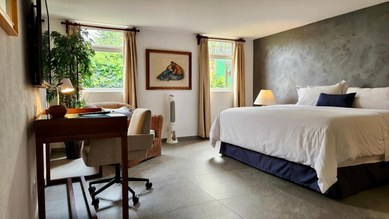 Casa Tamayo Meksyk Zewnętrze zdjęcie